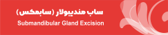 آیکون عمل غده بزاقی در سایت دکتر سید علی موسوی 