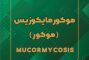 موکورمایکوزیس: عفونت قارچی نادر اما کشنده